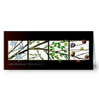 Seasonal Greetings Holiday Card